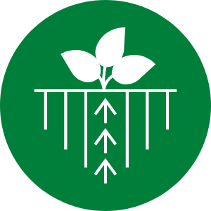 Efficiency icon