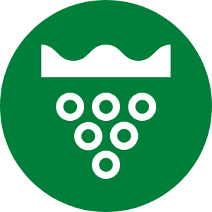 Safety Icon